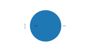 Pie Chart of Author Gender for Top 20 Most Rated Books: 100% of authors are white